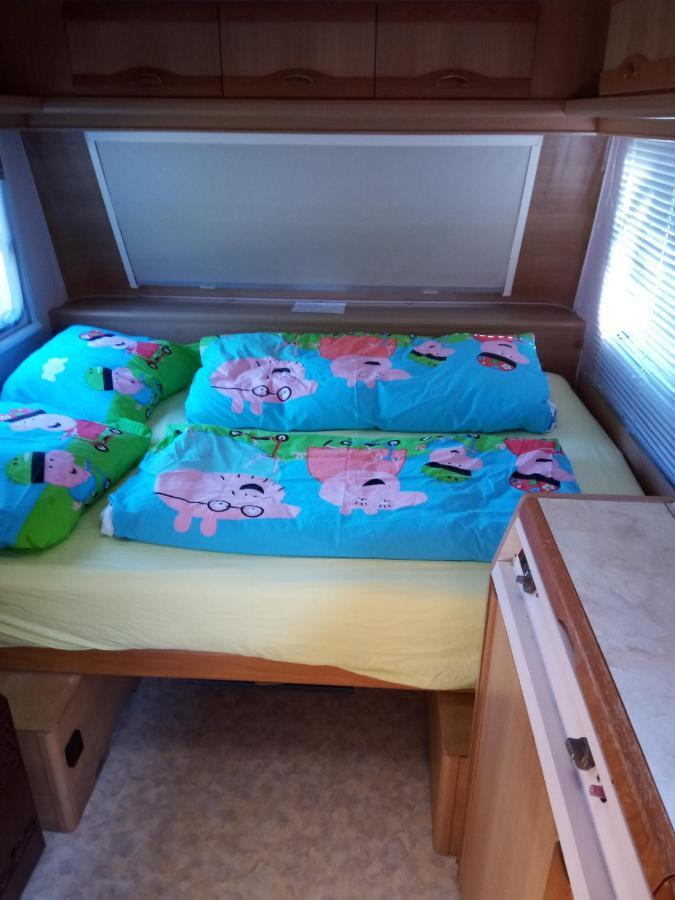 Urlaub Machen Direkt Am Irland Das Kinderparadies In Twisteden Im Grossen Garten Bei Privatleute Fur Maximal Sechs Personen Kevelaer Extérieur photo